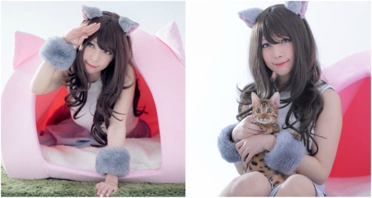 Japanese gravure bikini model cosplays as a cat for Bibi Lab’s crazy new human pet house