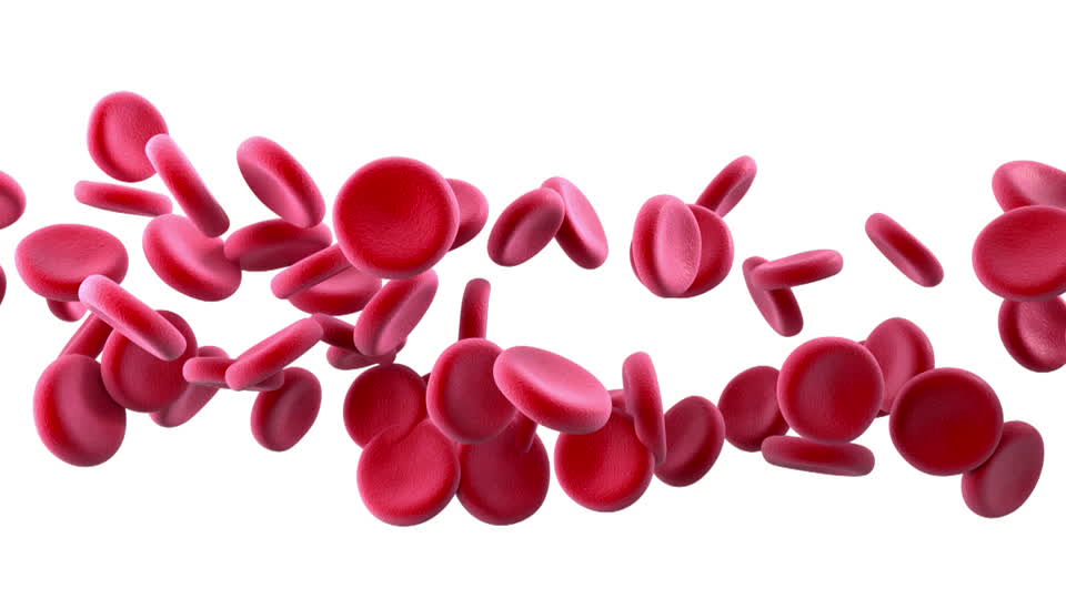 hemoglobin-bloodstream-fysiology-red-blood-cell